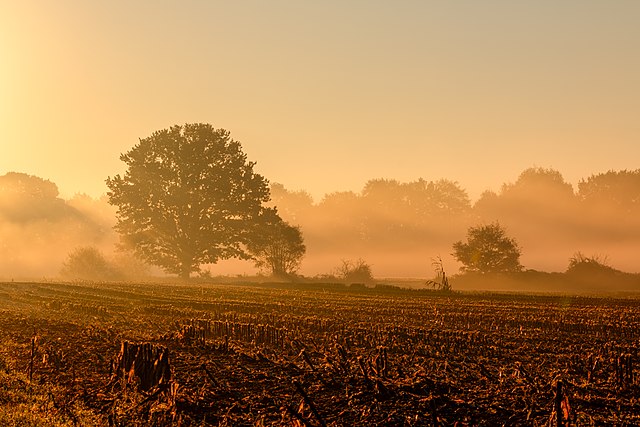 Novembro clima