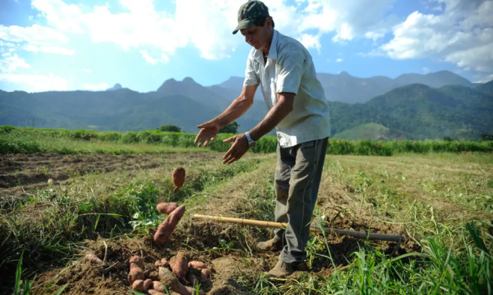 Bolívia: produtores brasileiros pedem socorro ao Itamaraty