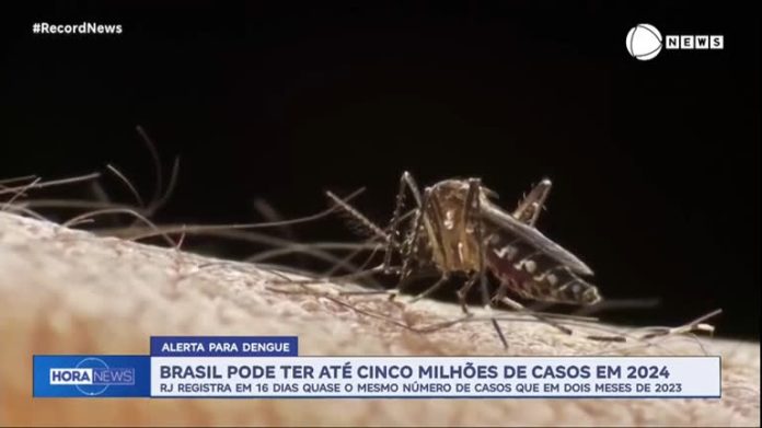 Brasil pode ter até 5 milhões de casos de dengue em 2024 - Notícias