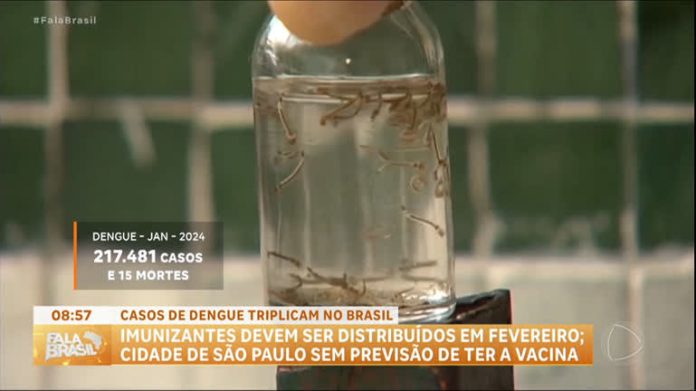 Brasil registra 220 mil casos de dengue em janeiro - RecordTV