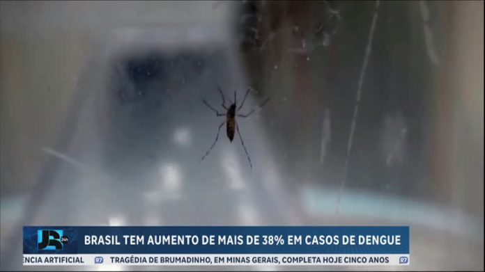 Brasil tem alta de casos de dengue entre julho e janeiro - JR 24H