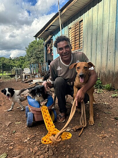 Os cães não gostam de ficar em casa sem o tutor.