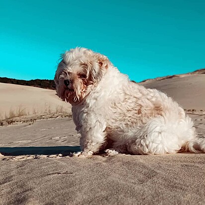 Juanita adora uma aventura na praia.