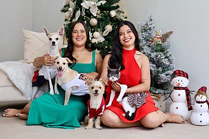 Agora o cartão de Natal em família está completo, desde a chegada de Mel.