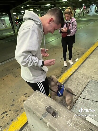 O cãozinho foi bem cuidado pelos familiares.