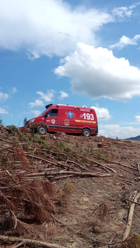 Homem foi atingido por árvore em área de difícil acesso