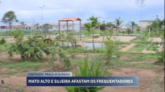 Moradores reclamam de descaso com praça ecológica de Contagem (MG)