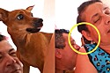 Pinscher faz internautas rirem com reação após mulher tentar beijar seu tutor.