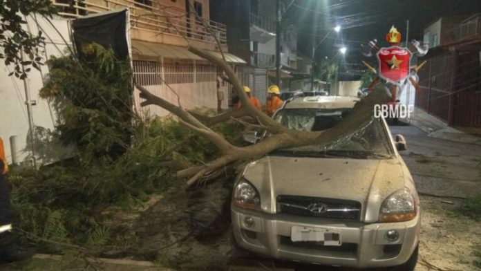 Prejuízo: árvore cai sobre um carro no Riacho Fundo I