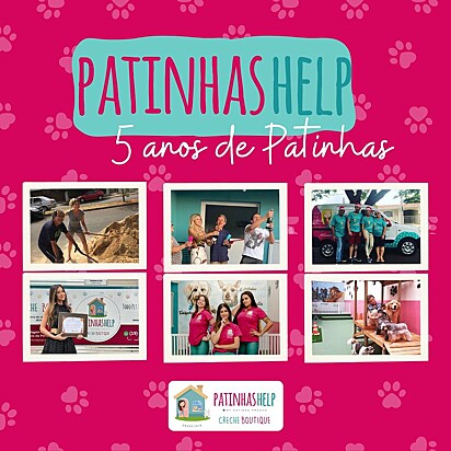 Os cães são muito bem cuidados pela equipe do Espaço Patinhas Help.