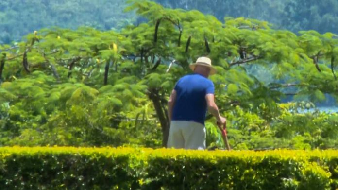 Sem agenda oficial, Lula planta mudas de árvores no jardim do Palácio da Alvorada - Notícias