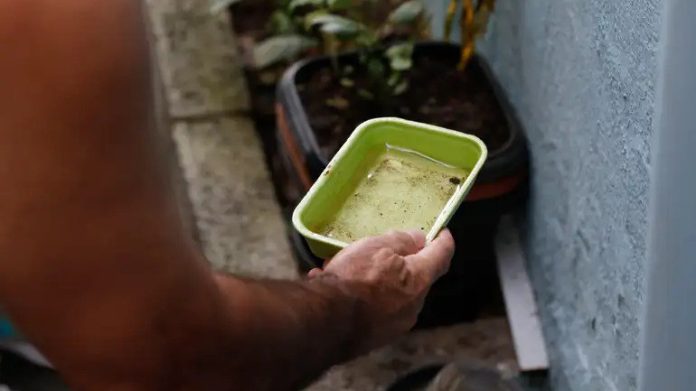 Vacina contra a dengue será distribuída para 521 municípios do país - Notícias