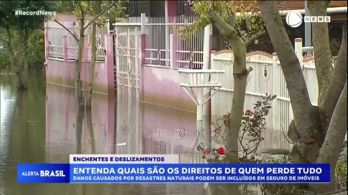 Veja quais são os direitos de quem perdeu tudo em desastres naturais como temporais - Notícias