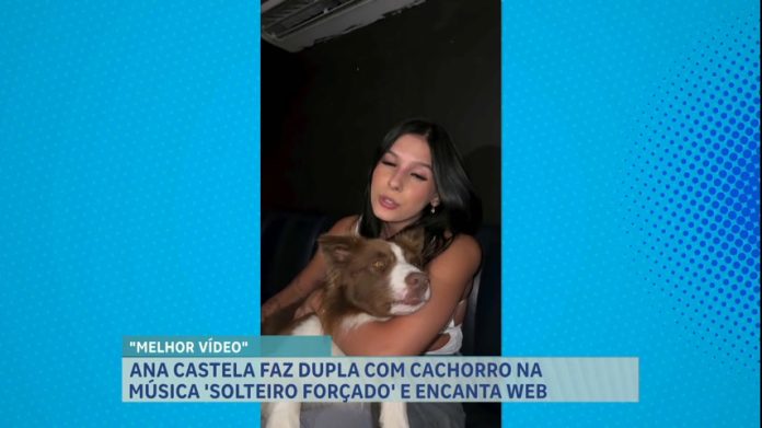 A Hora da Venenosa: cantora Ana Castela encanta fãs com vídeo de cachorro cantor