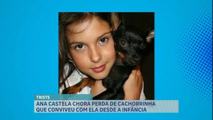 A Hora da Venenosa: cantora Ana Castela lamenta morte do seu cão nas redes sociais