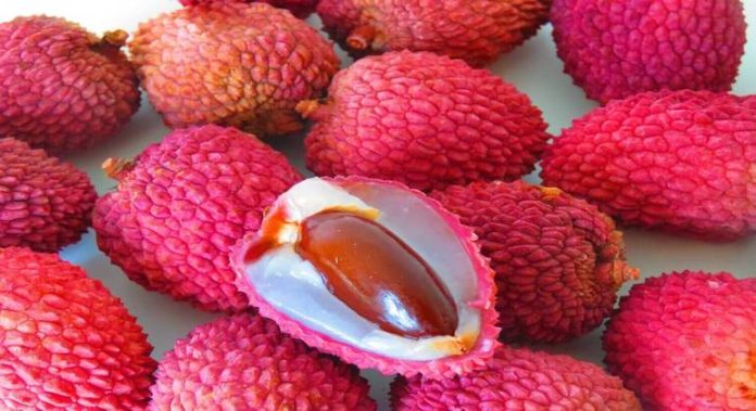 A incrível lichia: saúde e sabor em uma fruta tropical - Economia