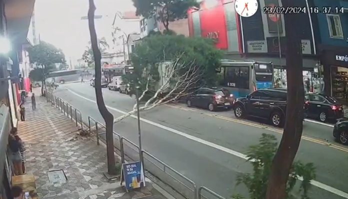 Árvore cai sobre veículos na Avenida Brigadeiro Luís Antônio