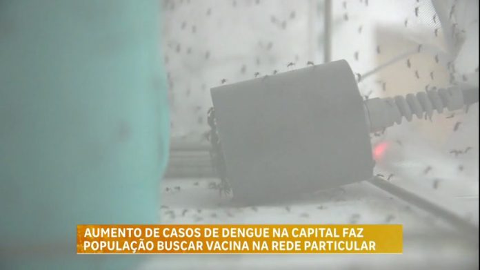 Aumento de casos de dengue em BH faz população buscar vacina na rede particular