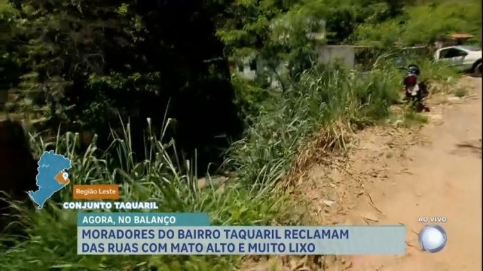 Bairro a Bairro: moradores reclamam de ruas com mato alto e lixo em BH