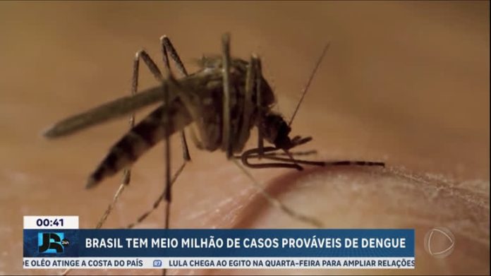 Brasil supera a marca de meio milhão de prováveis casos de dengue em 2024 - JR 24H