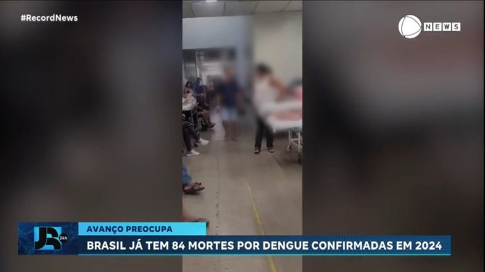 Brasil tem 84 mortes confirmadas por dengue em 2024 - Notícias