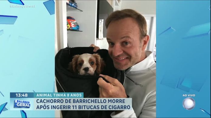 Cachorro de Rubens Barrichello morre após ingerir bitucas de cigarro - RecordTV