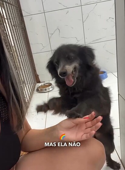 A alegria de um dos cachorros vítima de maus-tratos ao ser libertado.