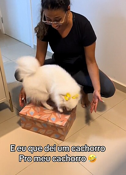 Luna pulava de alegria com o seu presente.