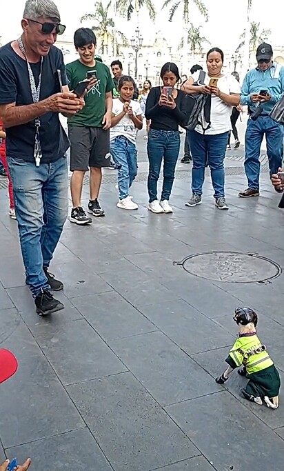 Com um sorriso no rosto e um celular na mão, as pessoas filmaram o cãolicial mais bravo que o Peru já viu!