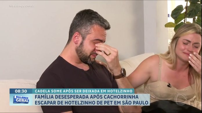 Casal procura cachorra que fugiu de hotel para animais em SP - RecordTV