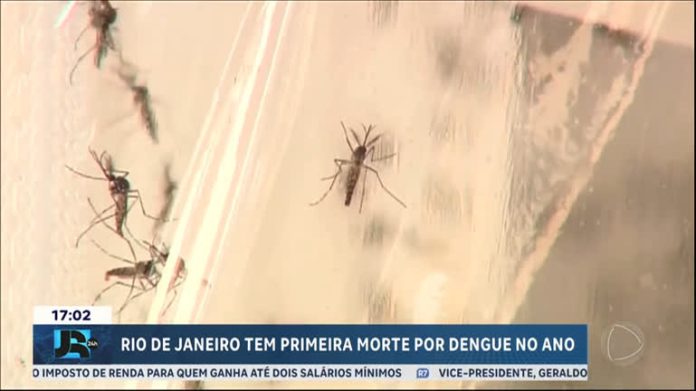 Cidade do Rio de Janeiro confirma a primeira morte por dengue no ano - JR 24H