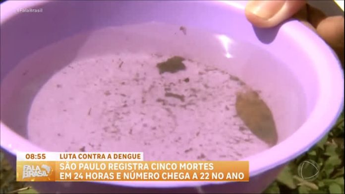 Cinco mortes por dengue são registradas em SP em 24 horas - RecordTV