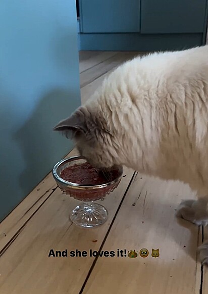 Mao só come em taça de cristal.