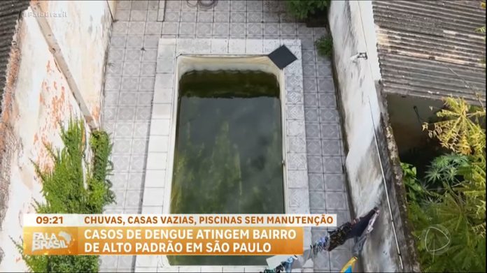 Dengue atinge casas de alto padrão em São Paulo - RecordTV