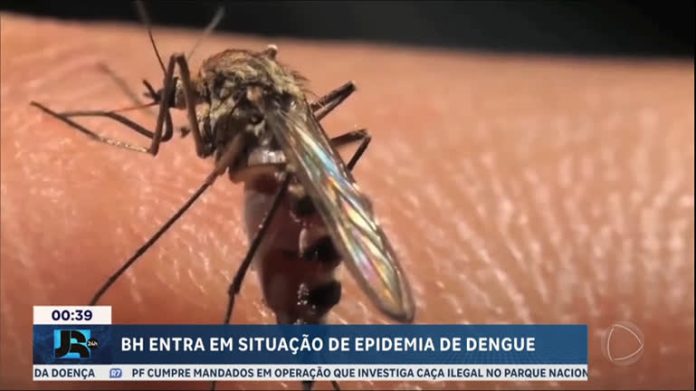 Dengue: Belo Horizonte (MG) decreta situação de epidemia após aumento nos casos - JR 24H