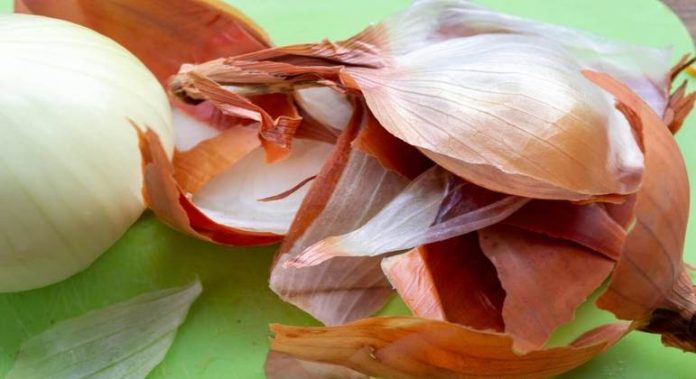 Descubra como usar cascas de cebola para beneficiar suas plantas - Economia