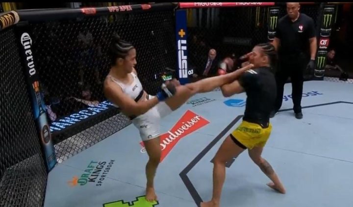 Natália Silva venceu Vivi Araújo em duelo brasileiro no UFC Vegas 85 (Foto: Reprodução)