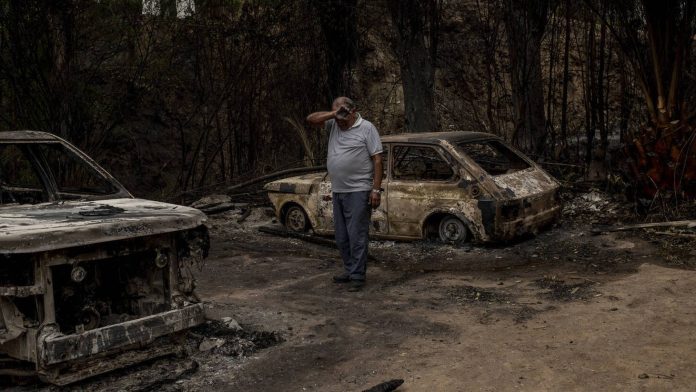 Em meio aos incêndios destruidores no Chile, visitantes escapam da morte em jardim botânico - Fotos