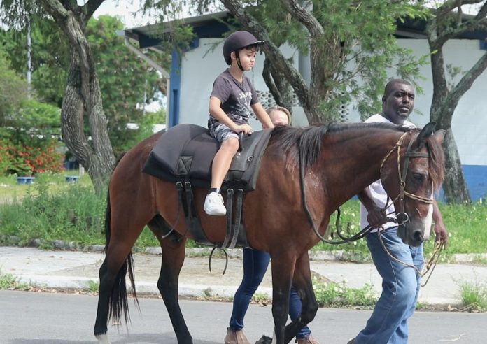 Equoterapia de Macaé transforma a vida de crianças PcDs