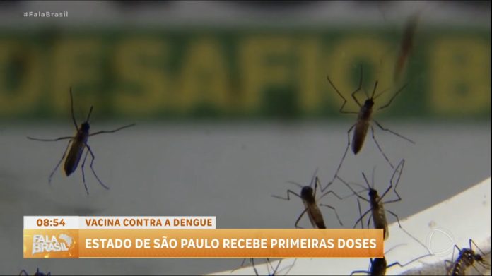 Estado de São Paulo recebe doses da vacina da dengue - RecordTV