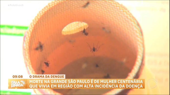 Estado de São Paulo registra seis mortes por dengue - RecordTV