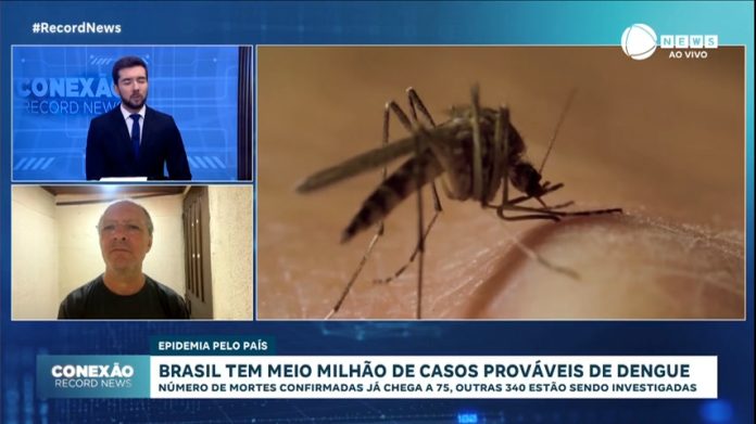 'Expectativa é que a epidemia de dengue será mais grave do que no ano passado', alerta especialista - Notícias