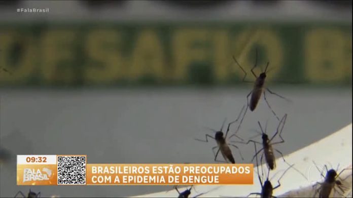 Fala Brasileiro : 90% dos brasileiros estão preocupados com o crescimento da dengue - Fala Brasil