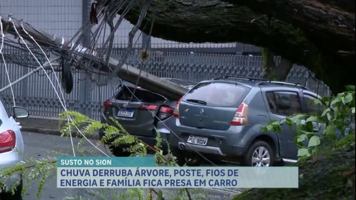 Família fica presa em carro após queda de árvore, poste e fiação, em BH