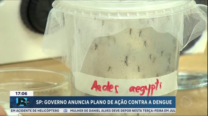 Governo de São Paulo anuncia plano de ação contra a dengue no estado - JR 24H