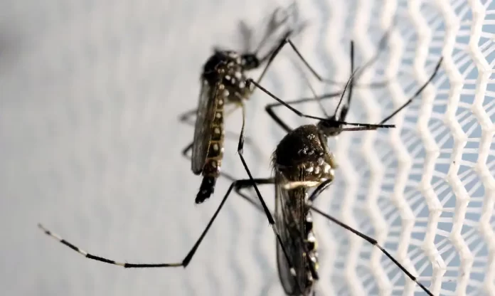 Guarulhos confirma morte por dengue; são quatro óbitos em SP