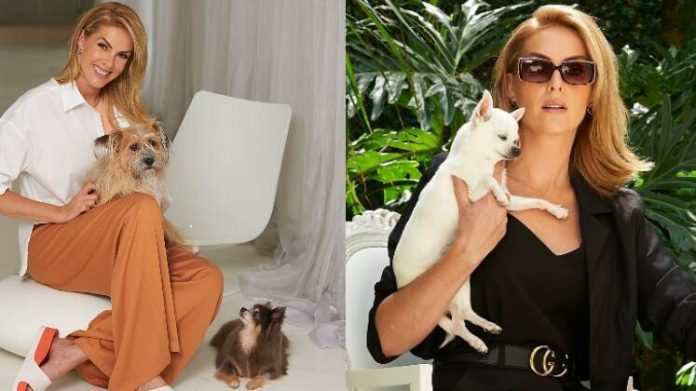 Inspiração! Veja sete momentos fofos de Ana Hickmann com seus pets - Fotos