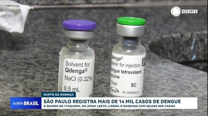 Itaquera lidera ranking de dengue em São Paulo com quase 800 casos; Campo Limpo está em segundo - Notícias