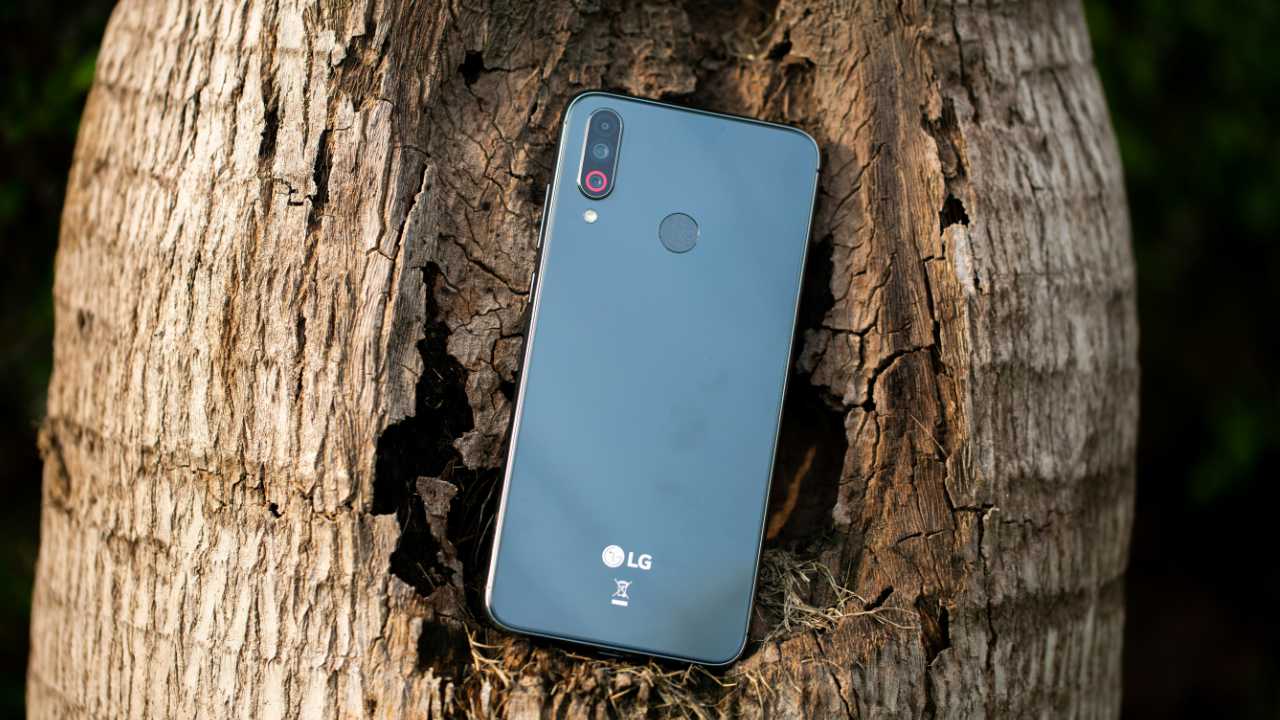 Foto de celular da LG encostado em um tronco de árvore