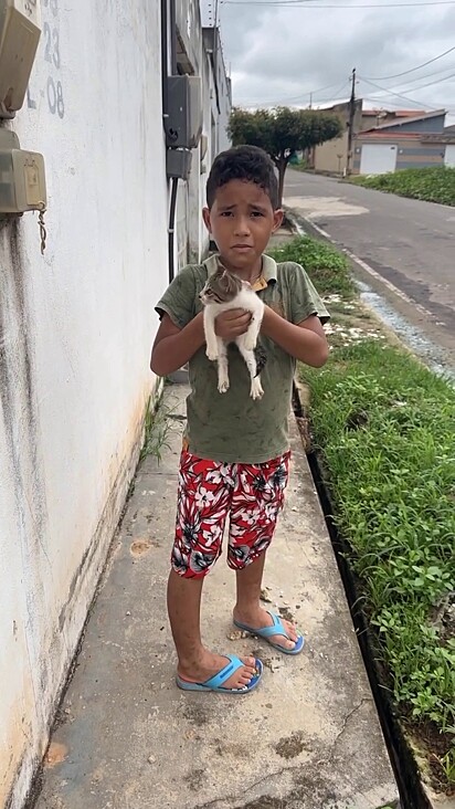 O gatinho roubou o coração de todos.